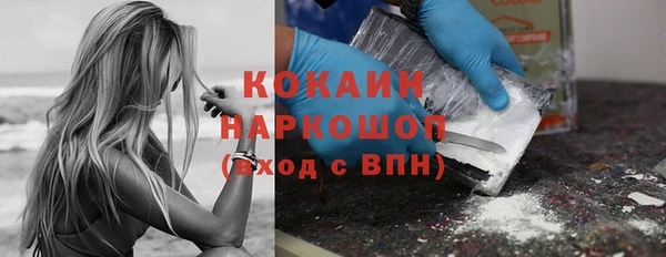 сатива Аркадак