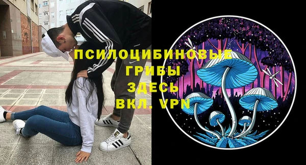 крисы Арсеньев