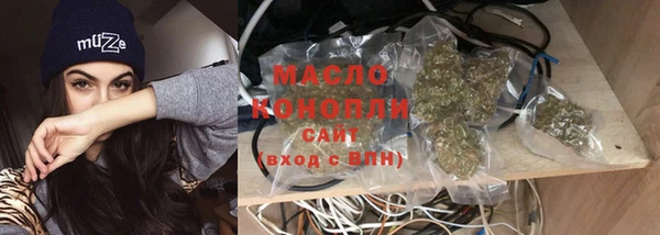 сатива Аркадак