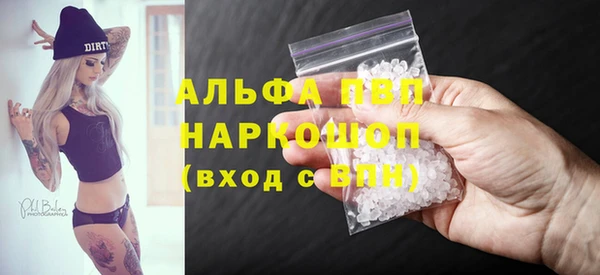 сатива Аркадак