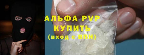 сатива Аркадак