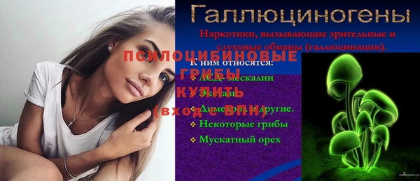 крисы Арсеньев