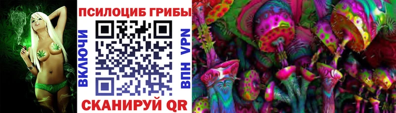 наркота  kraken как зайти  Псилоцибиновые грибы мухоморы  Волгоград 